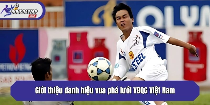 Giới thiệu danh hiệu vua phá lưới VĐQG Việt Nam