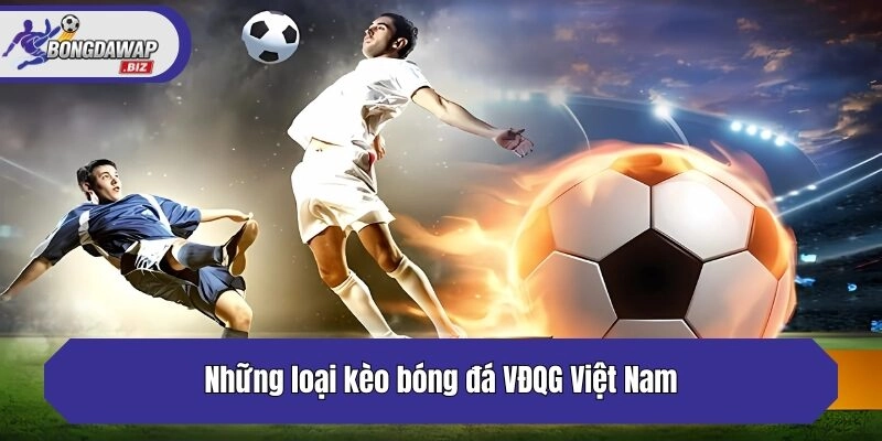Những loại kèo bóng đá VĐQG Việt Nam đáng chú ý