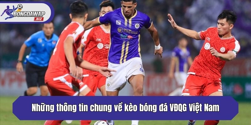 Những thông tin chung về kèo bóng đá VĐQG Việt Nam