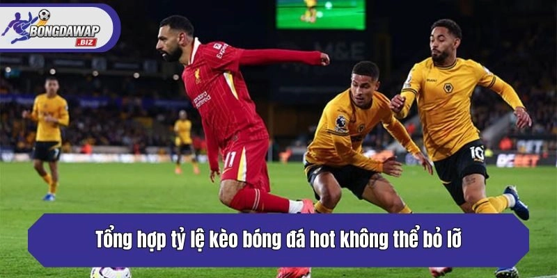 Tổng hợp tỷ lệ kèo bóng đá hot không thể bỏ lỡ