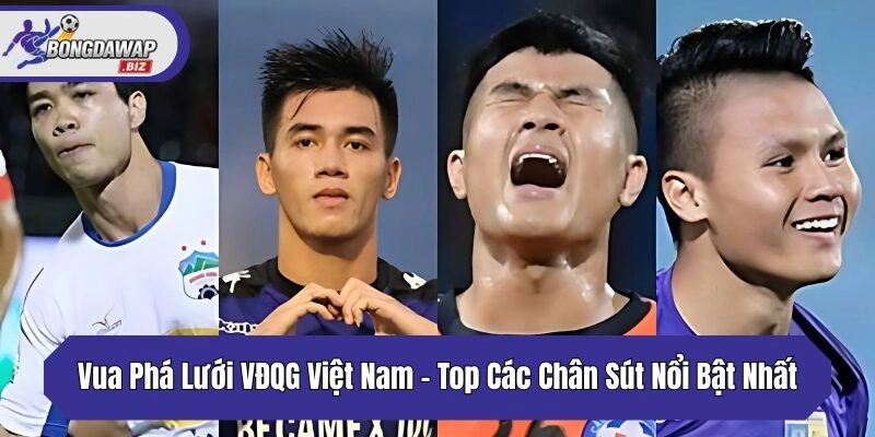 vua phá lưới vđqg việt nam